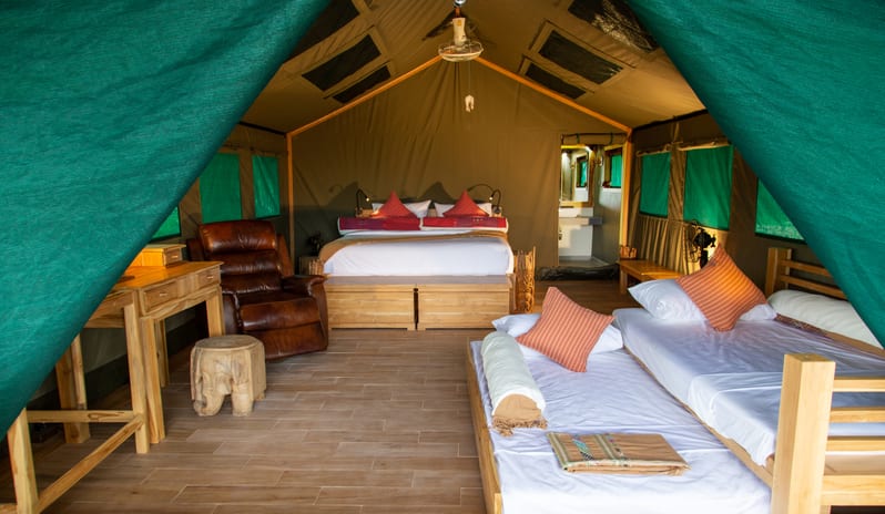 Elephant Hills The Bush Camp (2 Days 1 Night)